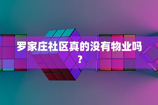 罗家庄社区真的没有物业吗？