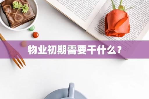 物业初期需要干什么？