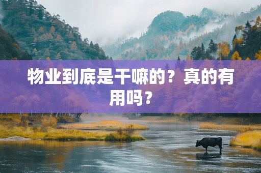 物业到底是干嘛的？真的有用吗？
