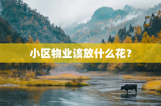 小区物业该放什么花？