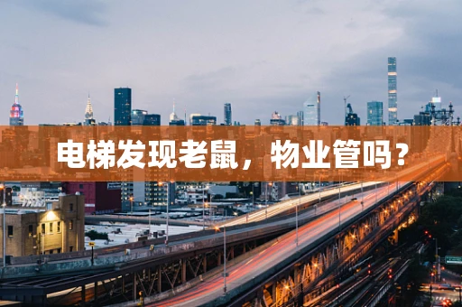 电梯发现老鼠，物业管吗？