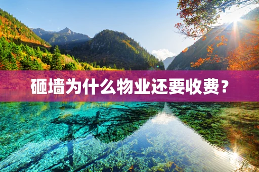 砸墙为什么物业还要收费？