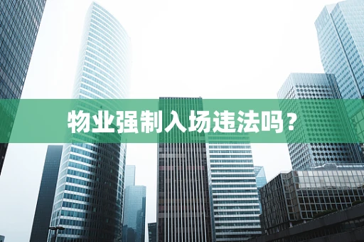 物业强制入场违法吗？