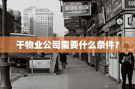 干物业公司需要什么条件？