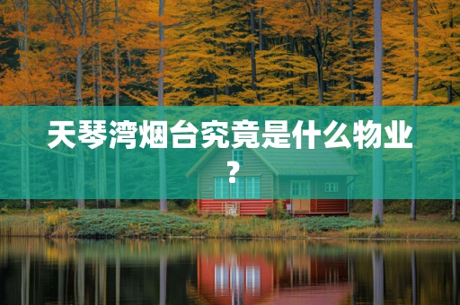 天琴湾烟台究竟是什么物业？