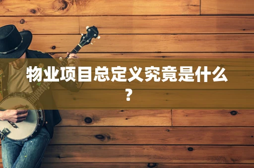 物业项目总定义究竟是什么？