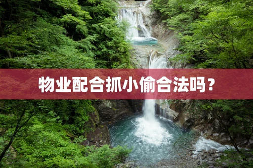 物业配合抓小偷合法吗？