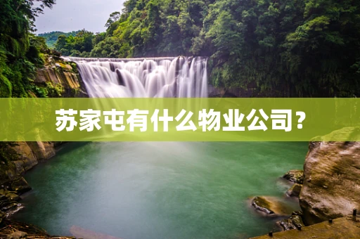 苏家屯有什么物业公司？