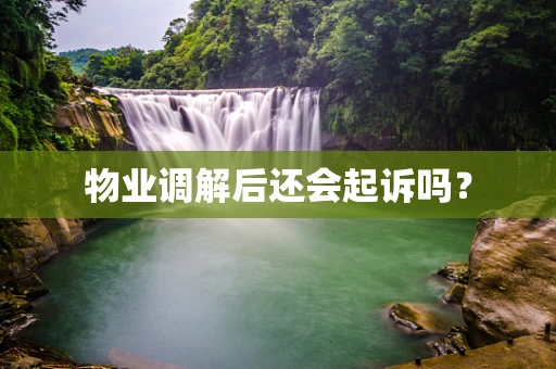 物业调解后还会起诉吗？