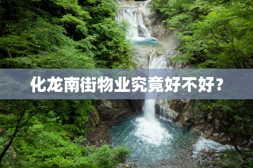 化龙南街物业究竟好不好？