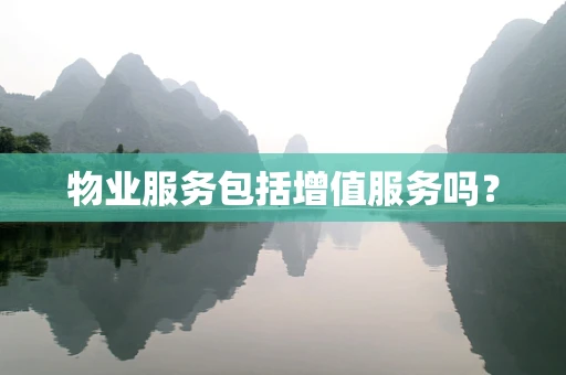 物业服务包括增值服务吗？