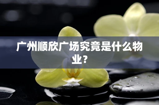 广州顺欣广场究竟是什么物业？