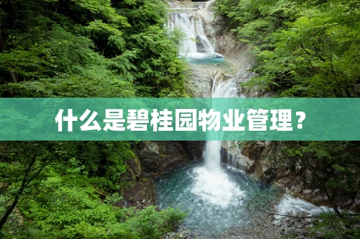 什么是碧桂园物业管理？