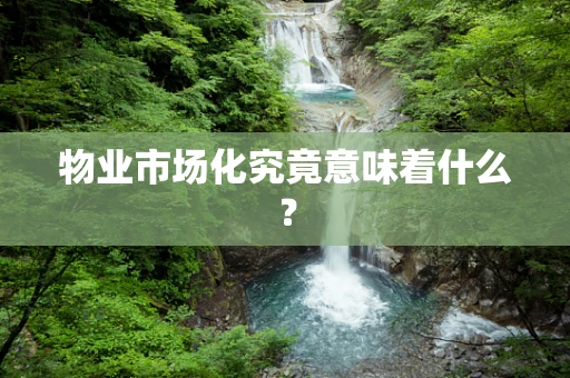 物业市场化究竟意味着什么？