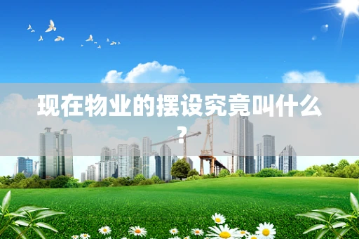 现在物业的摆设究竟叫什么？
