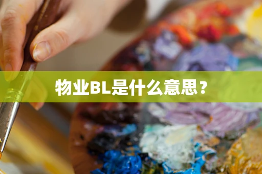 物业BL是什么意思？
