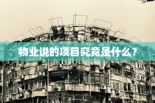 物业说的项目究竟是什么？
