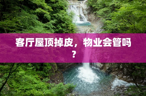 客厅屋顶掉皮，物业会管吗？