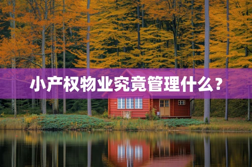 小产权物业究竟管理什么？