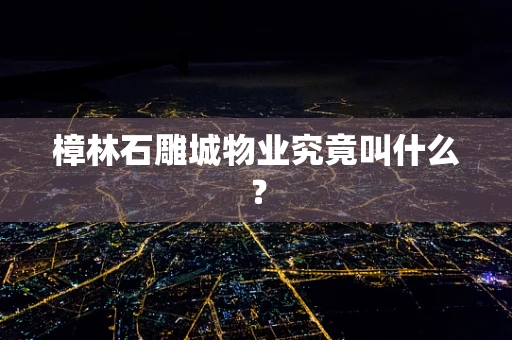 樟林石雕城物业究竟叫什么？