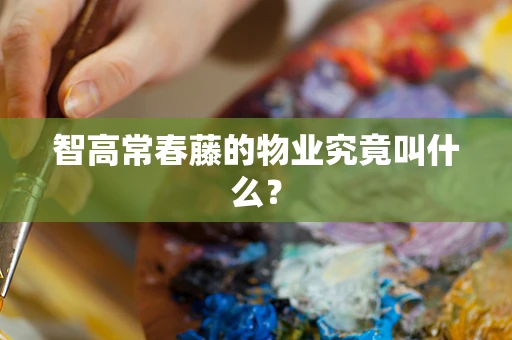 智高常春藤的物业究竟叫什么？