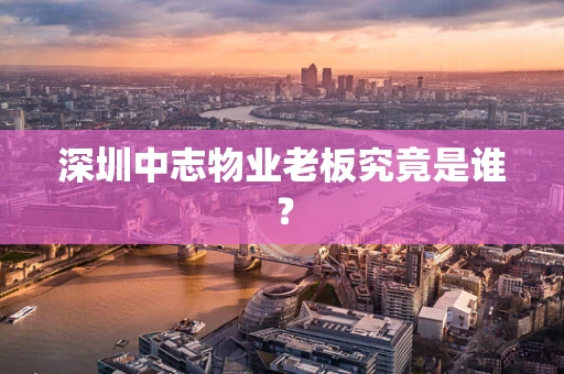 深圳中志物业老板究竟是谁？