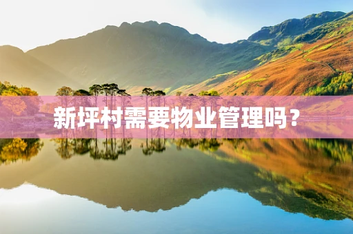 新坪村需要物业管理吗？