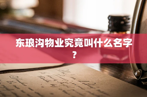 东琅沟物业究竟叫什么名字？