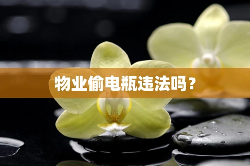 物业偷电瓶违法吗？