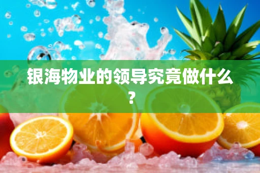 银海物业的领导究竟做什么？