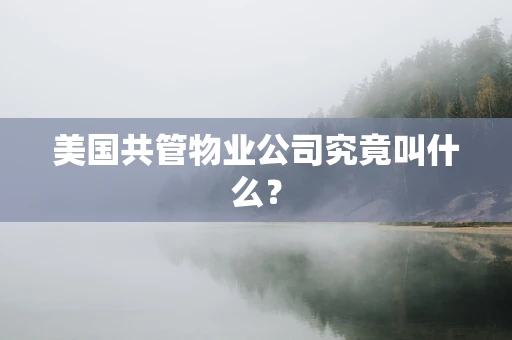 美国共管物业公司究竟叫什么？