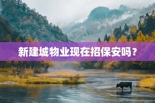 新建城物业现在招保安吗？