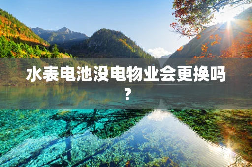 水表电池没电物业会更换吗？