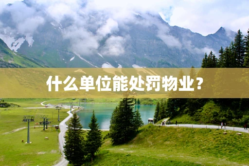 什么单位能处罚物业？