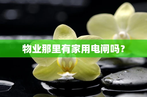 物业那里有家用电闸吗？