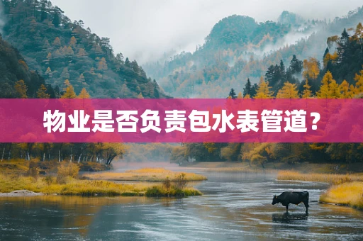 物业是否负责包水表管道？