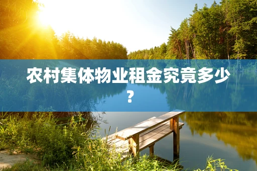 农村集体物业租金究竟多少？