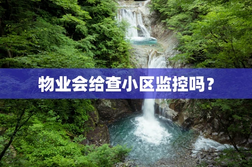 物业会给查小区监控吗？