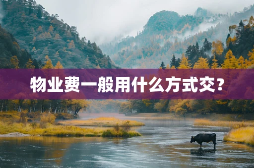 物业费一般用什么方式交？