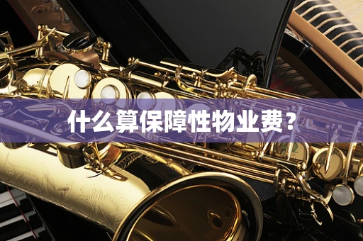 什么算保障性物业费？