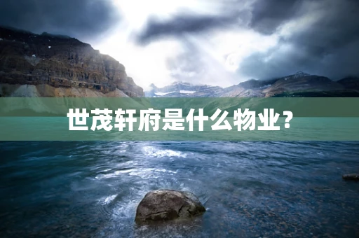 世茂轩府是什么物业？