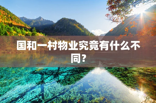 国和一村物业究竟有什么不同？