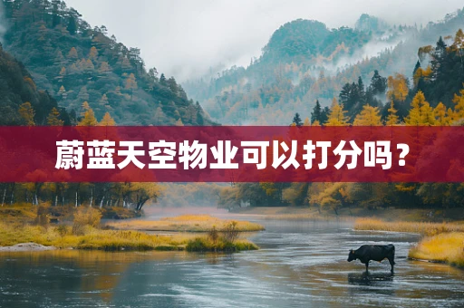 蔚蓝天空物业可以打分吗？