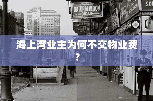 海上湾业主为何不交物业费？