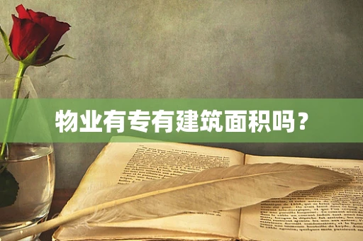 物业有专有建筑面积吗？