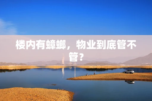 楼内有蟑螂，物业到底管不管？