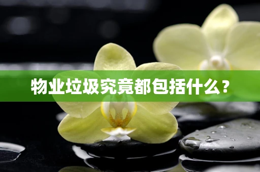 物业垃圾究竟都包括什么？