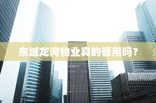 东域龙湾物业真的管用吗？