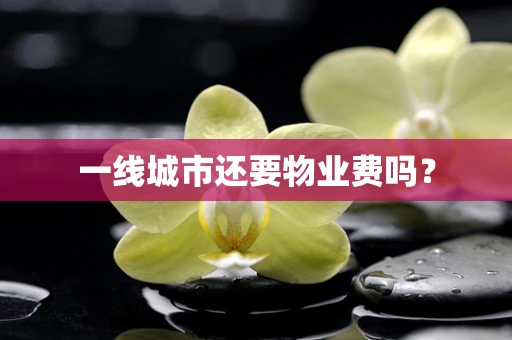 一线城市还要物业费吗？