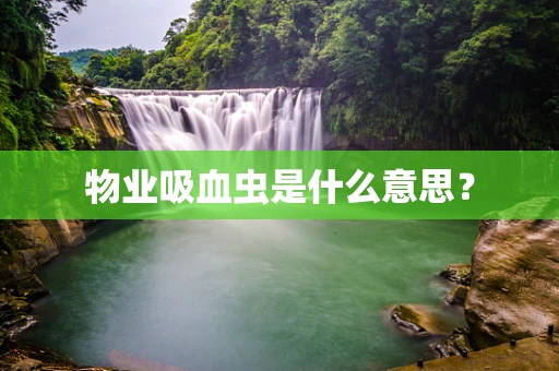 物业吸血虫是什么意思？